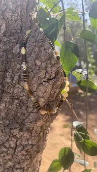 שרשרת נגיעה של סתיו