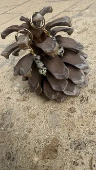 עגילי נקודות הטבע