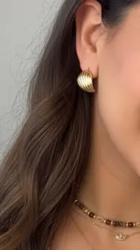 עגילי סייפן