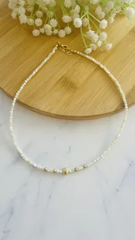 שרשת אבן צדף לבן