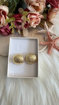 עגילי סייפן